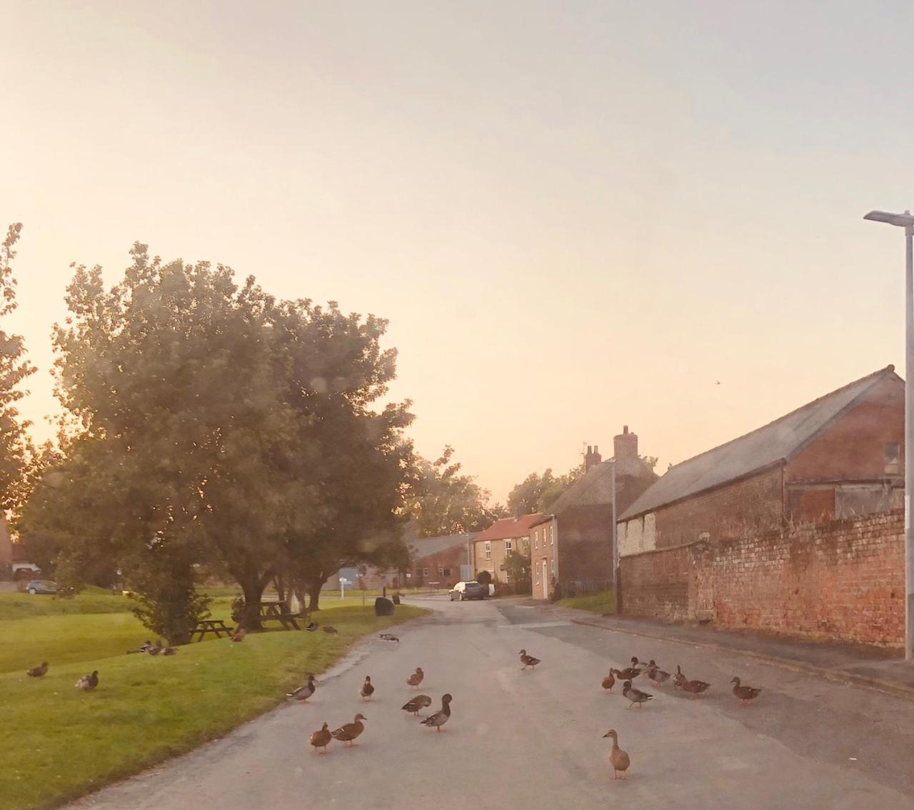Village Barn Conversion Near York Extérieur photo